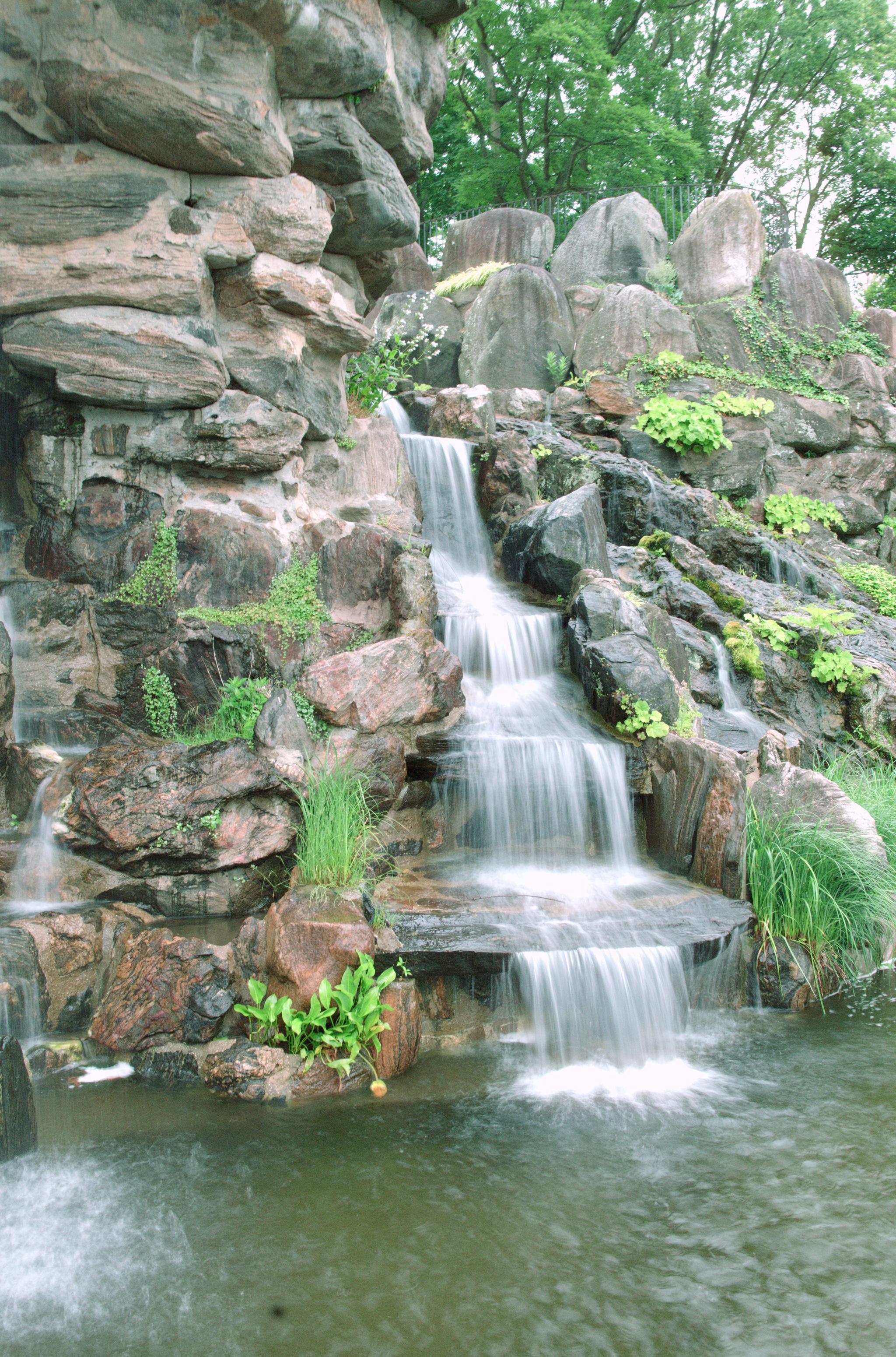 c2_L1011325.jpg